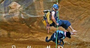 Rappelling with a dog